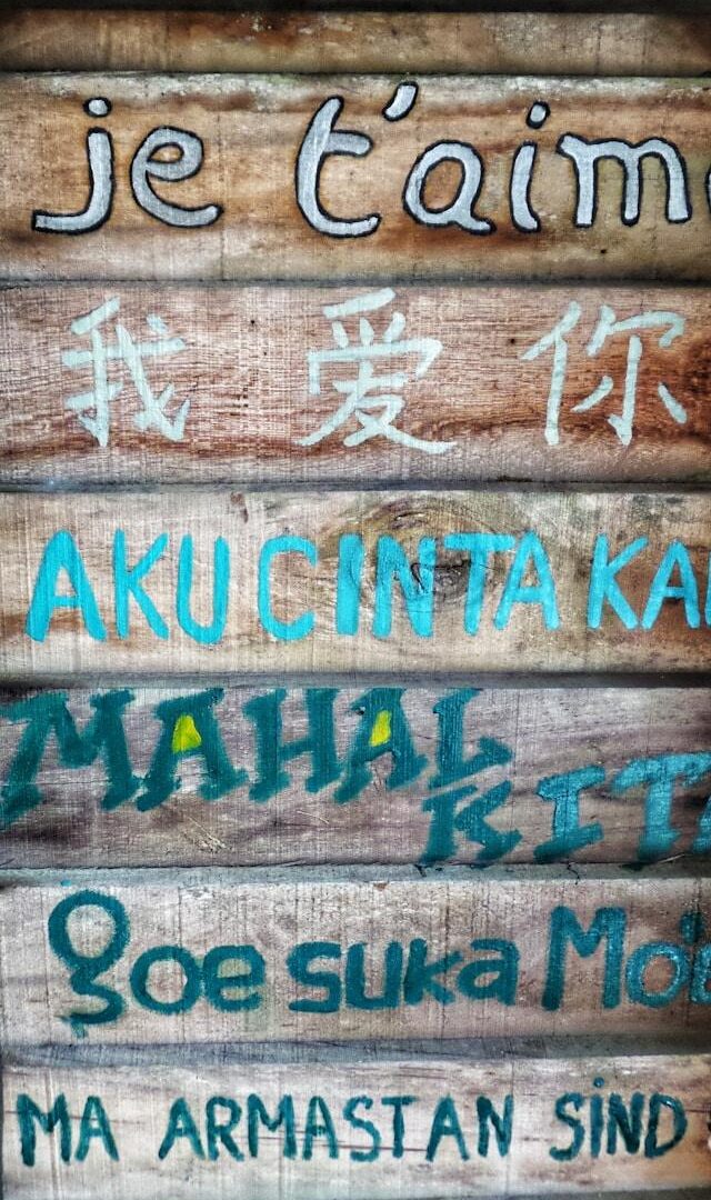 Localizing WordPress plugins for multiple languages and global reach