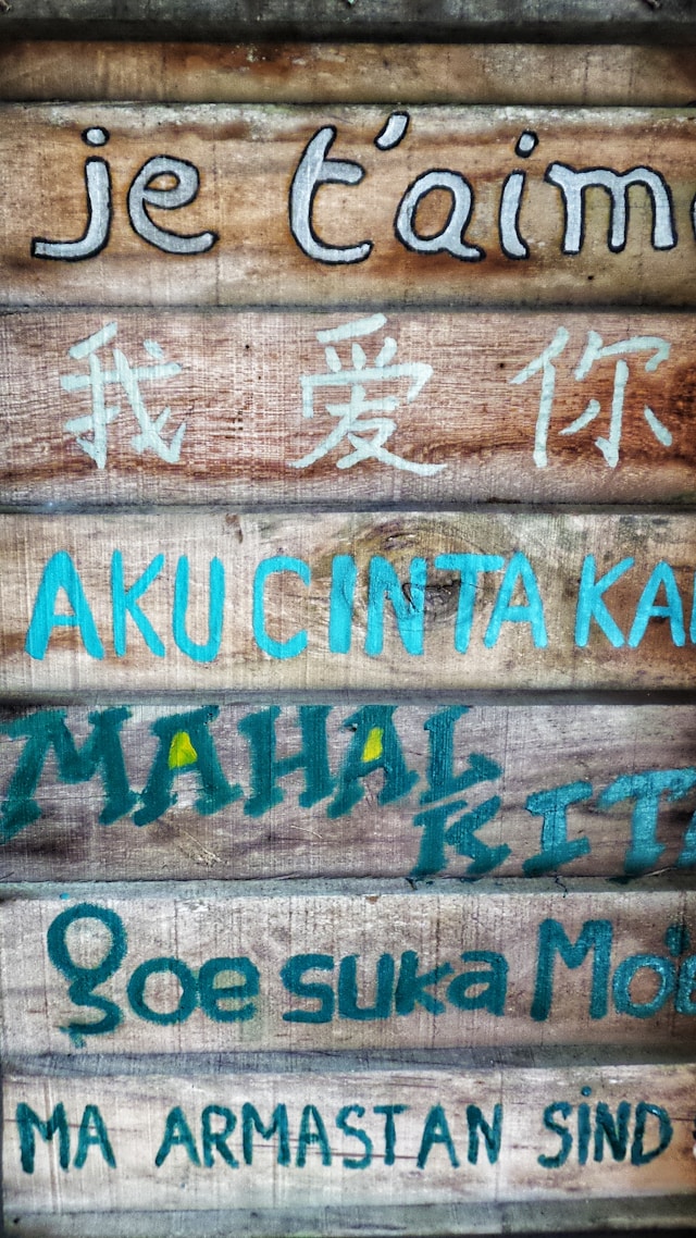 Localizing WordPress plugins for multiple languages and global reach