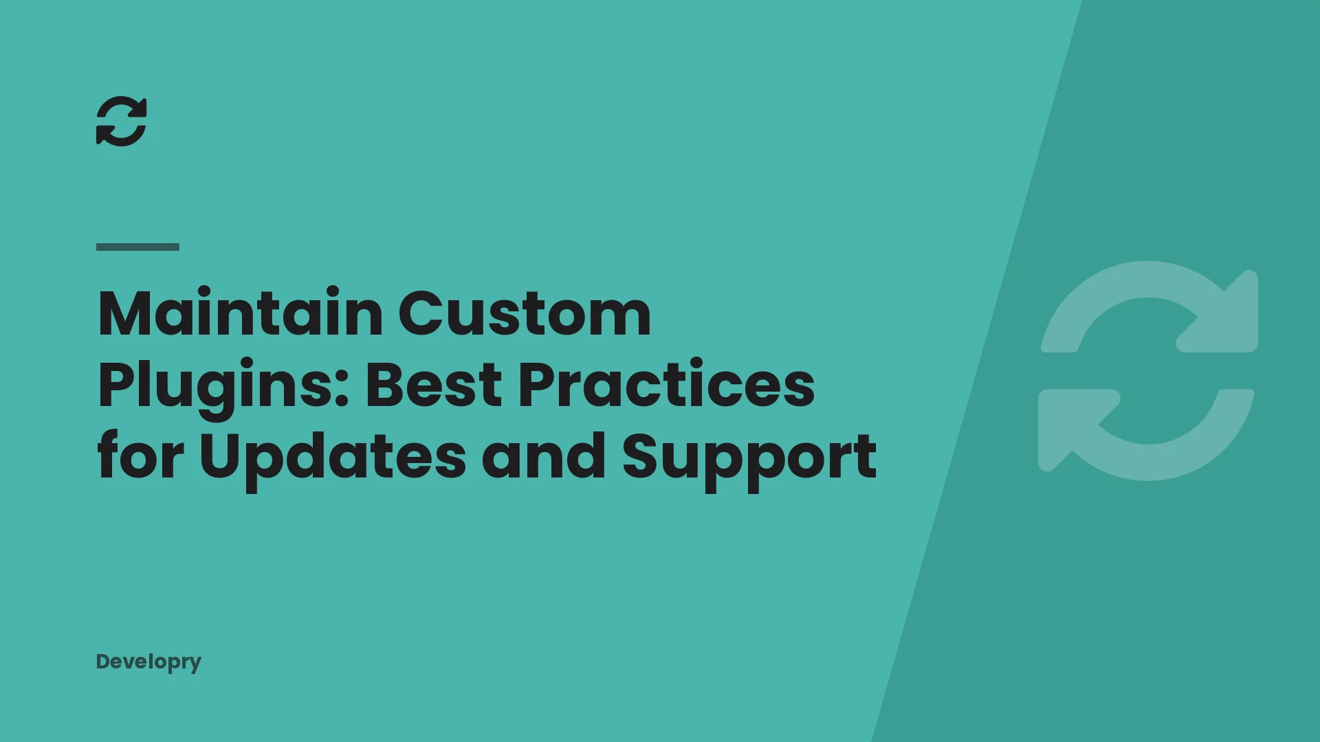 Maintain Custom Plugins: Best Practices for Updates and Support
